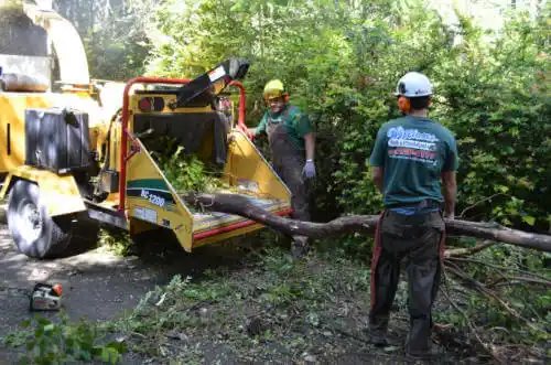 tree services Malibu